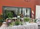 Vente de fleurs Les Templitudes 